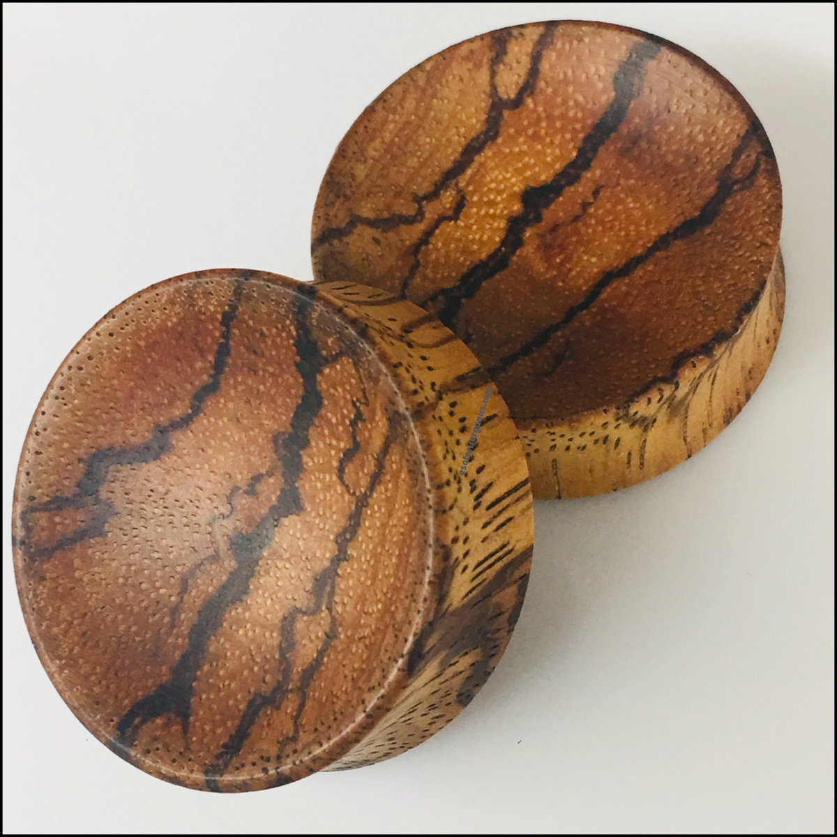 Zebrawood Concave Solids Plugs