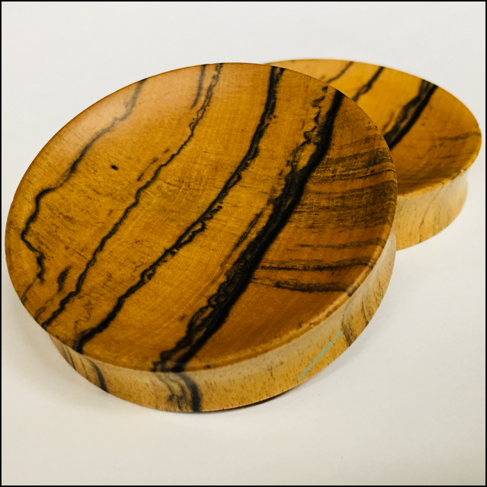 Black & White Ebony Concave Round Wood Plugs