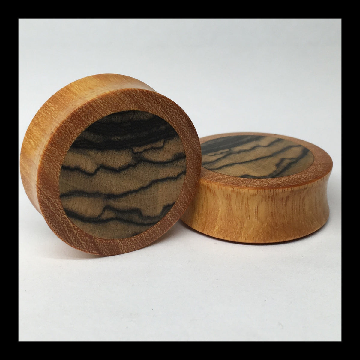 Orange Osage Black & White Ebony Round Plugs