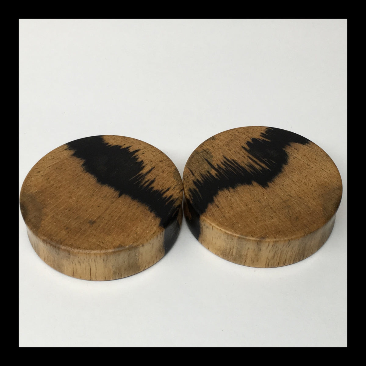 Black & White Ebony Solid Round Plugs