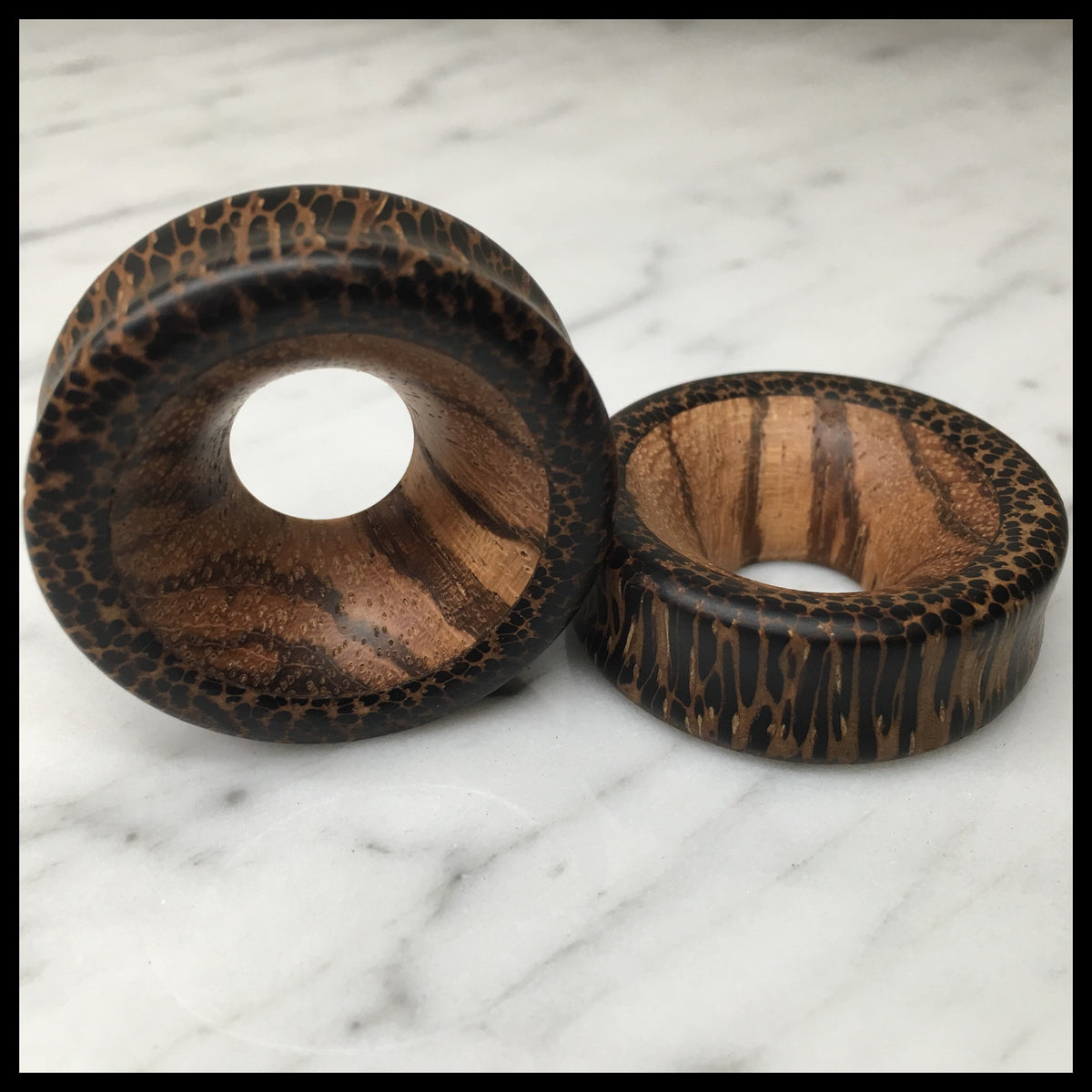 Black Palm Zebrawood Thick Wall Tunnel