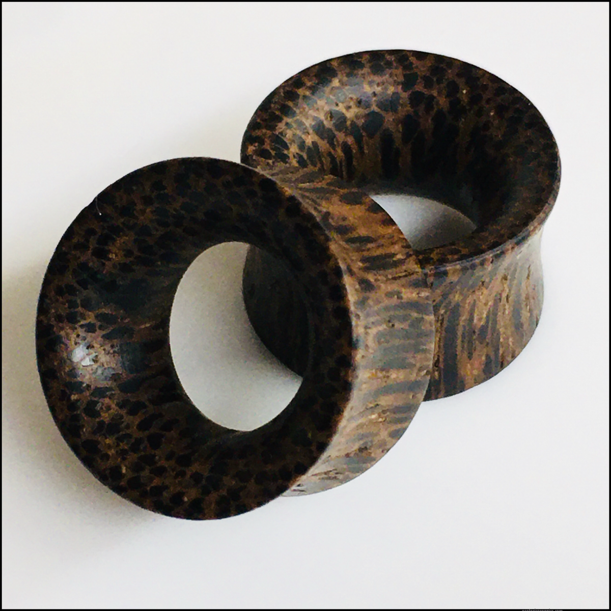 Black Palm Thin Wall Tunnels