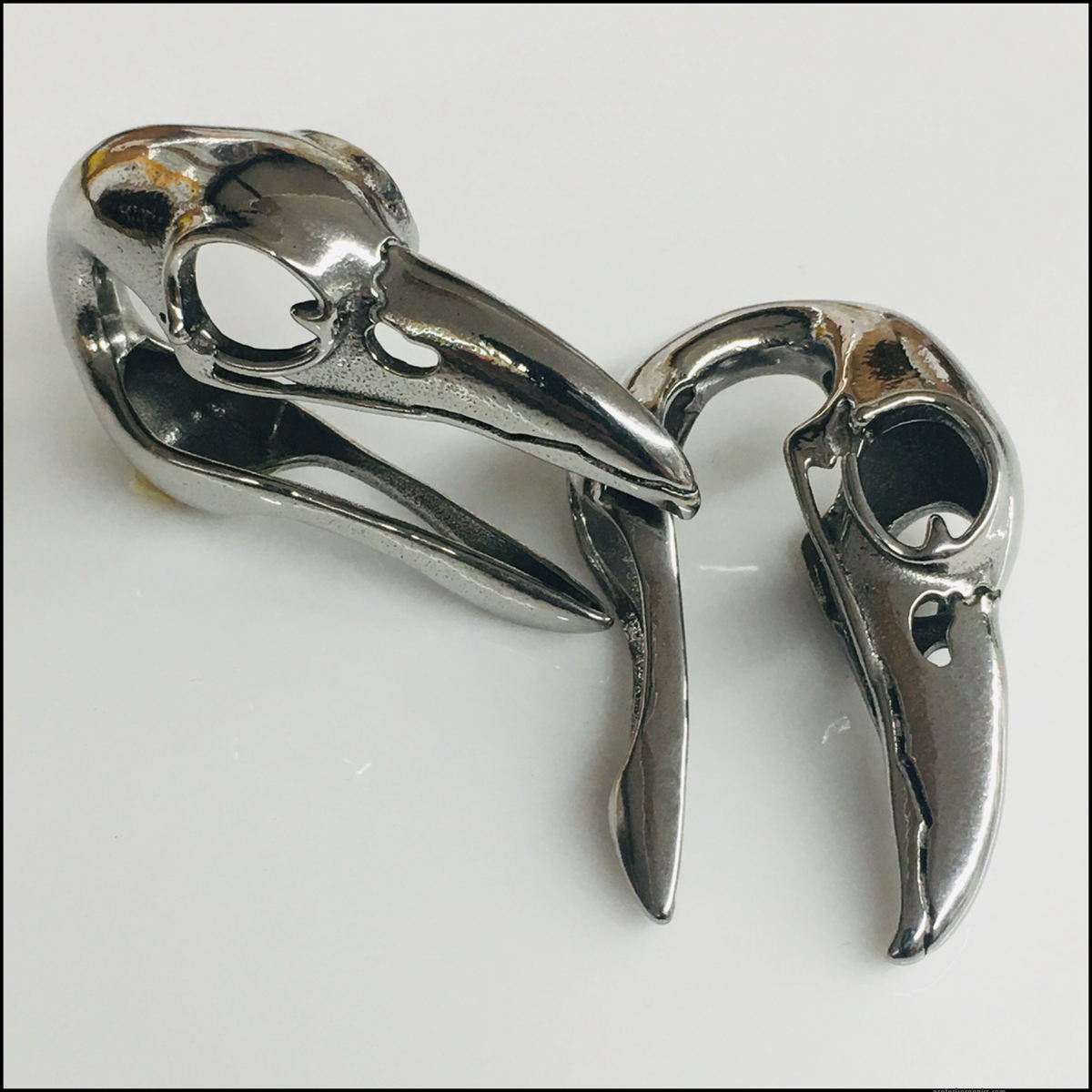 Bird Skull Weights